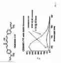 Fig. 05 - Methods and system for detecting soluble amyloid-β