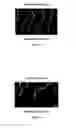 Fig. 03 - Compositions and method for thermal protection of hair