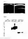 Fig. 06 - Avian colony stimulating factor 1 receptor binding proteins