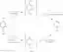 Fig. 31 - Compounds, compositions and methods for treating or preventing pneumovirus infection and associated diseases