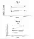 Fig. 06 - Method of treating pulmonary disease with interferons