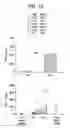 Fig. 11 - Method of treating pulmonary disease with interferons