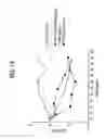 Fig. 13 - Method of treating pulmonary disease with interferons