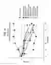Fig. 14 - Method of treating pulmonary disease with interferons