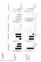 Fig. 07 - Infant cereal comprising non-replicating probiotic microorganisms