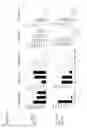 Fig. 07 - ORAL NUTRITIONAL SUPPLEMENT COMPRISING PROBIOTICS