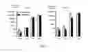 Fig. 08 - Lactic acid bacteria and bifidobacteria for treating endotoxemia