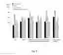 Fig. 10 - Lactic acid bacteria and bifidobacteria for treating endotoxemia