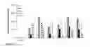 Fig. 16 - Stabilized immune modulatory RNA (SIMRA) compounds