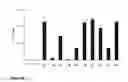 Fig. 34 - Stabilized immune modulatory RNA (SIMRA) compounds