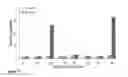 Fig. 43 - Stabilized immune modulatory RNA (SIMRA) compounds