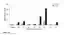 Fig. 44 - Stabilized immune modulatory RNA (SIMRA) compounds