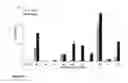 Fig. 45 - Stabilized immune modulatory RNA (SIMRA) compounds