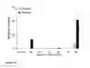 Fig. 46 - Stabilized immune modulatory RNA (SIMRA) compounds