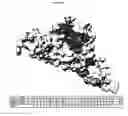 Fig. 06 - MIMOTOPES OF HIV ENV