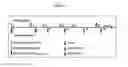 Fig. 09 - MIMOTOPES OF HIV ENV