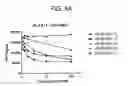 Fig. 13 - SPARC ANTISENSE COMPOSITIONS AND USES THEREOF