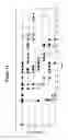Fig. 16 - CD20-binding polypeptide compositions for treating autoimmune disease