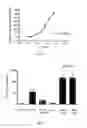 Fig. 04 - IL-27 Antagonists for Treating Inflammatory Diseases