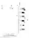 Fig. 05 - IL-27 Antagonists for Treating Inflammatory Diseases