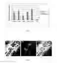 Fig. 02 - Biomarker
