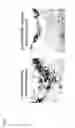 Fig. 06 - SUPPRESSANT FOR ATHEROSCLEROSIS