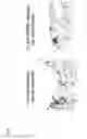 Fig. 10 - SUPPRESSANT FOR ATHEROSCLEROSIS