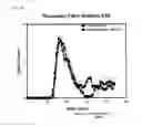Fig. 06 - Monoclonal antibodies to fibrin