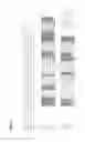 Fig. 05 - Aldehyde-tagged immunoglobulin polypeptides and methods of use thereof