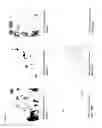 Fig. 24 - PROCESS FOR PRODUCING WATER-SOLUBLE HYALURONIC ACID MODIFICATION