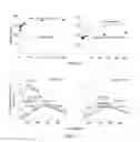 Fig. 03 - Modified gram-negative bacteria for use as vaccines