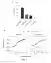 Fig. 04 - Modified gram-negative bacteria for use as vaccines