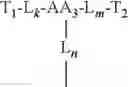Fig. 22 - Polyethylene glycol-based dendrons
