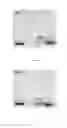 Fig. 04 - Lipid nanoparticles for gene therapy