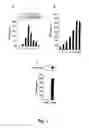 Fig. 03 - Methods for treating cancer by regulation of tumor necrosis factor-alpha