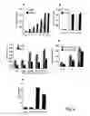 Fig. 08 - Methods for treating cancer by regulation of tumor necrosis factor-alpha
