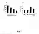 Fig. 09 - Methods for treating cancer by regulation of tumor necrosis factor-alpha