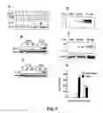 Fig. 11 - Methods for treating cancer by regulation of tumor necrosis factor-alpha