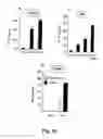Fig. 12 - Methods for treating cancer by regulation of tumor necrosis factor-alpha