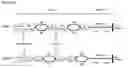 Fig. 02 -  GLUCOCORTICOID THERAPY