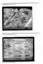 Fig. 09 - Matrix for sustained, invariant and independent release of active compounds
