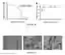 Fig. 08 - ENCAPSULATED CELLS AND COMPOSITES THEREOF