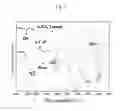 Fig. 02 - Method for preparing aqueous solution of high-concentration calcium phosphate stable in neutral pH range