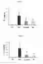 Fig. 07 - Pharmaceutical composition comprising an extract of and the catalpol derivatives isolated therefrom having antiinflammatory, antiallergic and antiasthmatic activity
