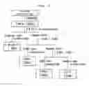 Fig. 02 - Compositions and functional foods for treating and preventing obesity using polygonum cuspidatum butanol fraction and ethyl acetate fraction
