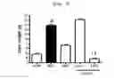 Fig. 04 - Compositions and functional foods for treating and preventing obesity using polygonum cuspidatum butanol fraction and ethyl acetate fraction
