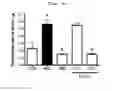 Fig. 05 - Compositions and functional foods for treating and preventing obesity using polygonum cuspidatum butanol fraction and ethyl acetate fraction