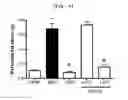 Fig. 07 - Compositions and functional foods for treating and preventing obesity using polygonum cuspidatum butanol fraction and ethyl acetate fraction