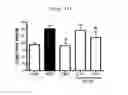 Fig. 11 - Compositions and functional foods for treating and preventing obesity using polygonum cuspidatum butanol fraction and ethyl acetate fraction