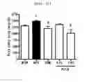 Fig. 12 - Compositions and functional foods for treating and preventing obesity using polygonum cuspidatum butanol fraction and ethyl acetate fraction